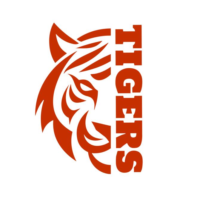 School Tigers 03 Thumbnail