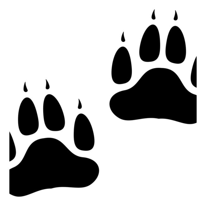 Bear   Clipart 2 Thumbnail