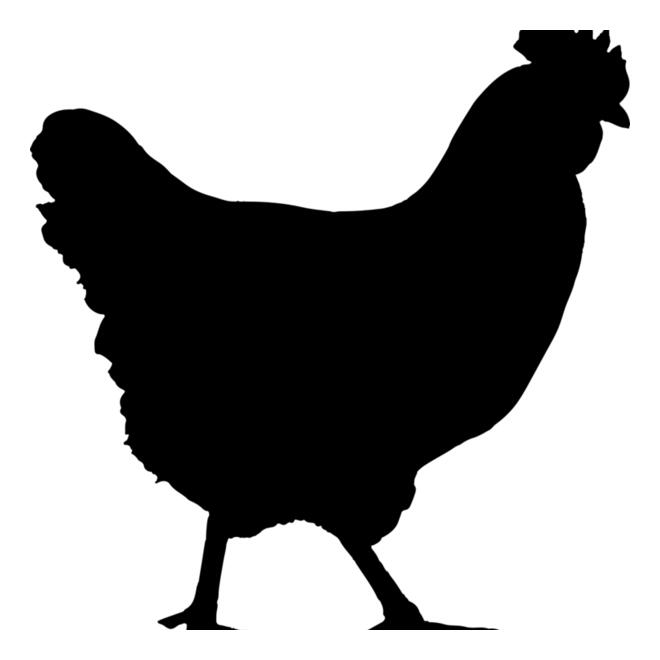 Chicken   Clipart 1 Thumbnail