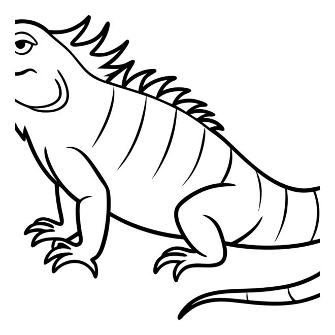 Iguana   Clipart 1 Thumbnail