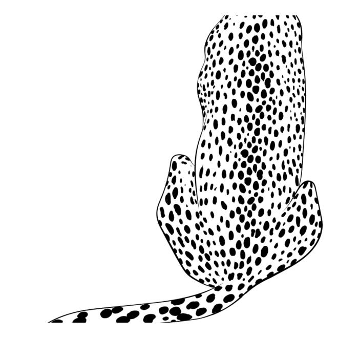 Leopard   Clipart 4 Thumbnail