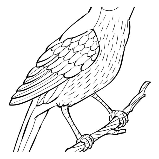 Nightingale   Clipart 2 Thumbnail