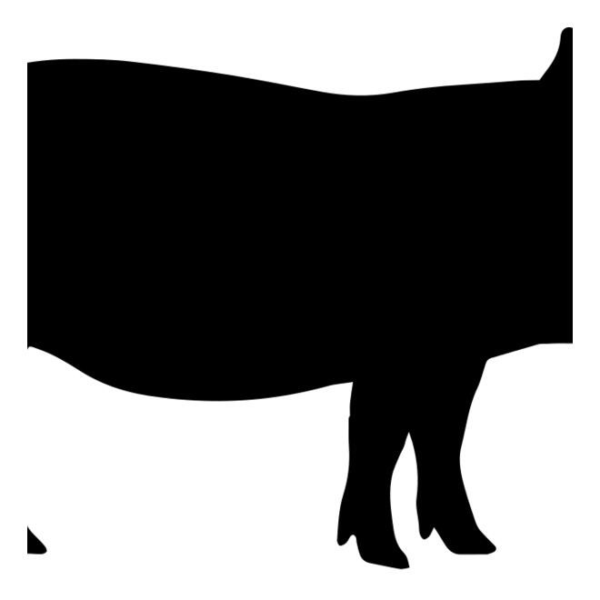 Pig   Clipart 1 Thumbnail