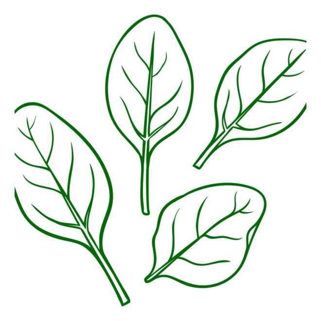 Spinach Thumbnail
