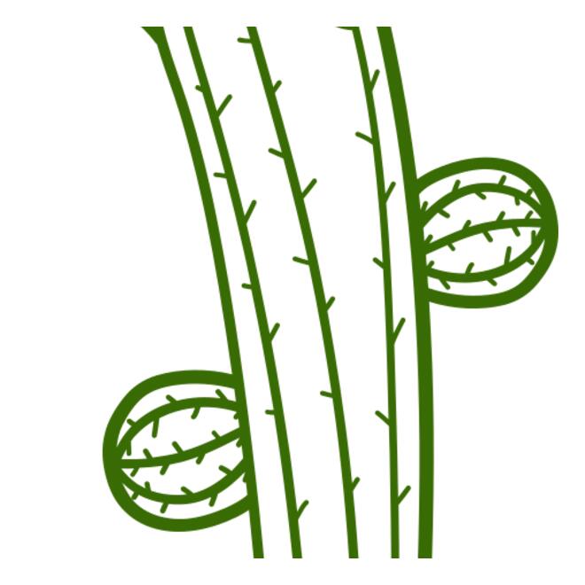 Cactus Thumbnail