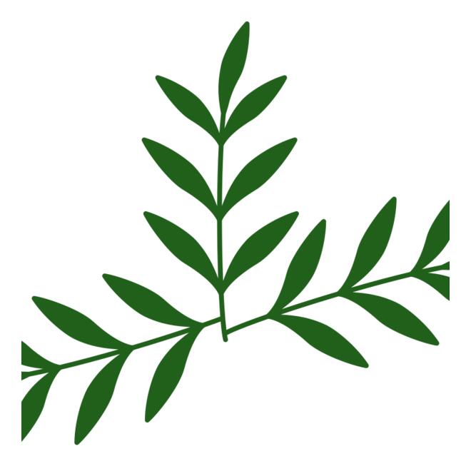 Leaves 2 Thumbnail