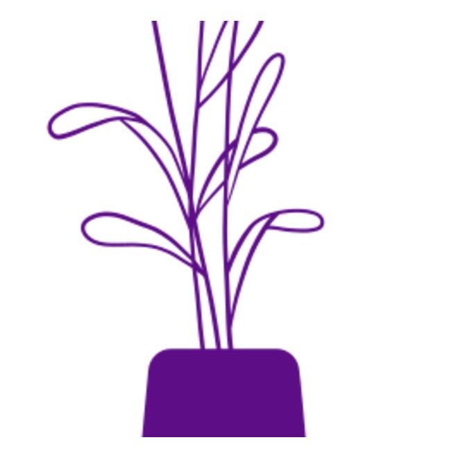 Flowers 7 Thumbnail