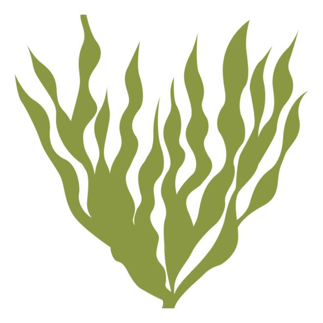 Sea Plants 5 Thumbnail