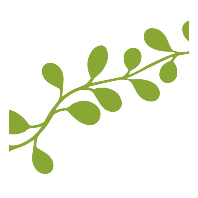 Leaves 13 Thumbnail