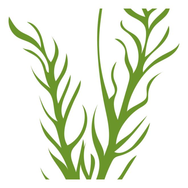 Leaves 8 Thumbnail