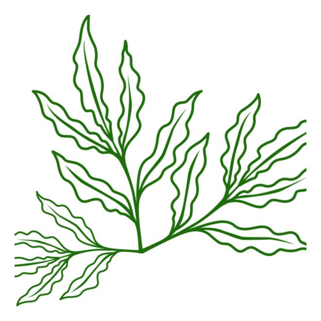Leaves 7 Thumbnail