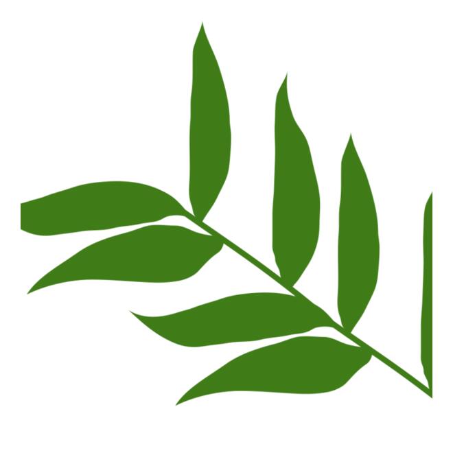 Leaves 5 Thumbnail