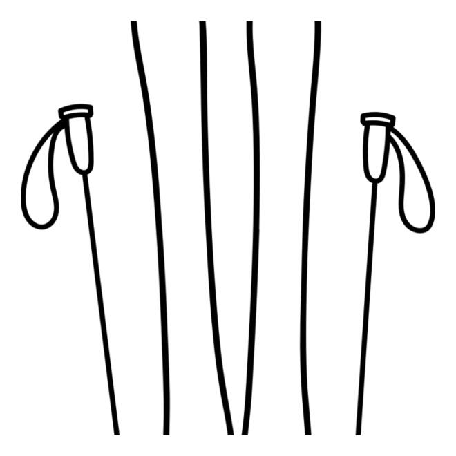 Ski Board and Poles 2 Thumbnail