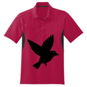 Accelerator Polo Thumbnail