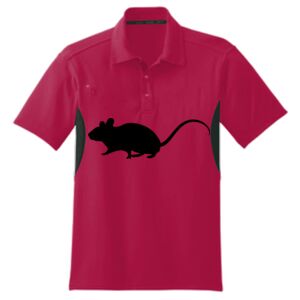 Accelerator Polo Thumbnail